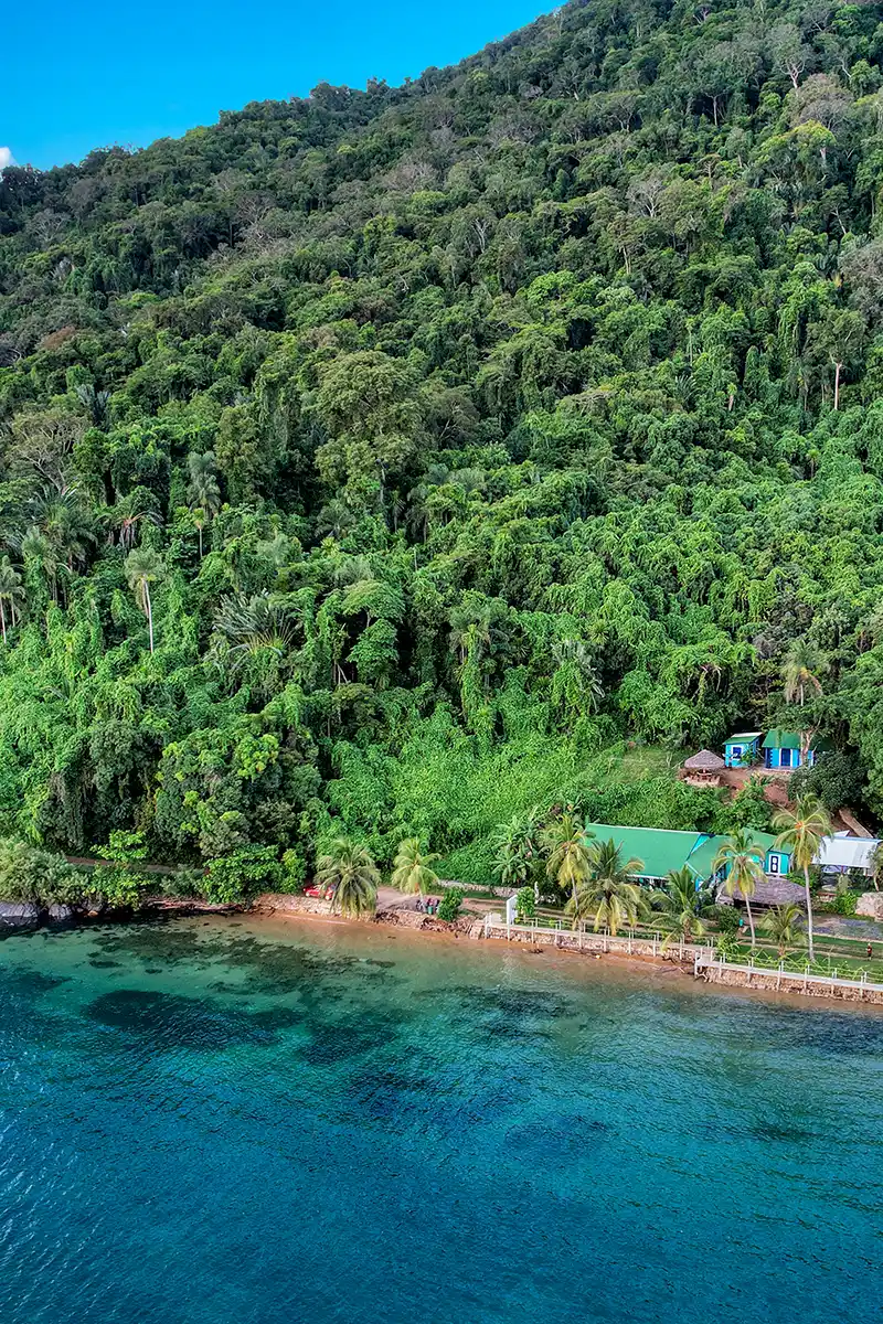 Foret ocean villa
